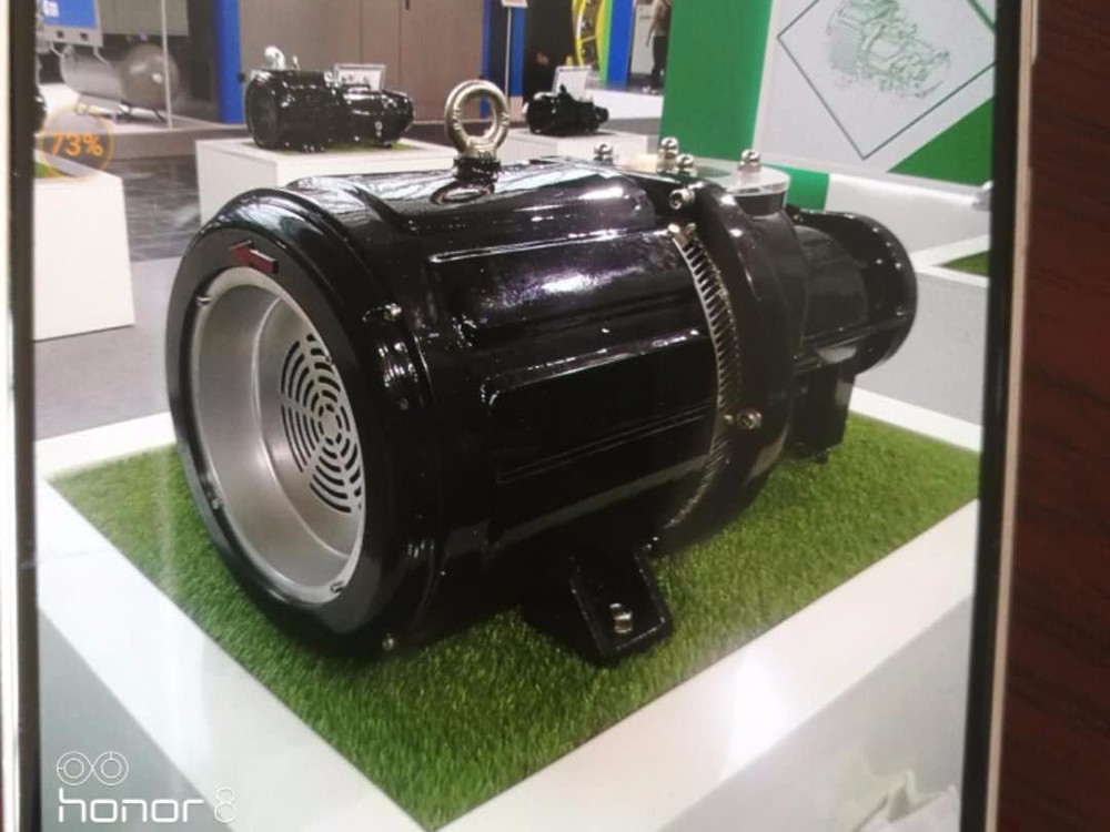 壓縮機(jī)專用永磁電機(jī)